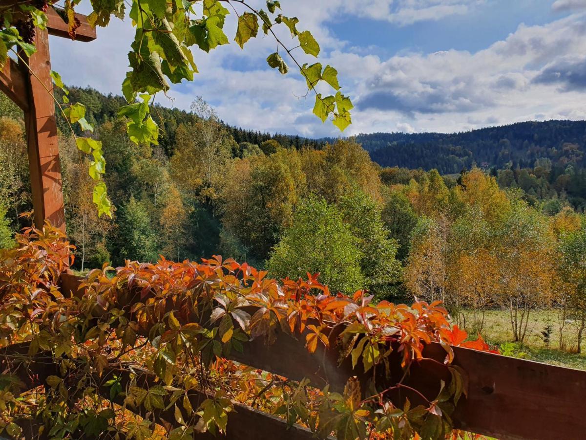 Appartamento Ksiezycowa Dolina Lądek-Zdrój Esterno foto