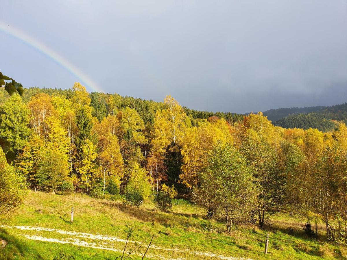 Appartamento Ksiezycowa Dolina Lądek-Zdrój Esterno foto