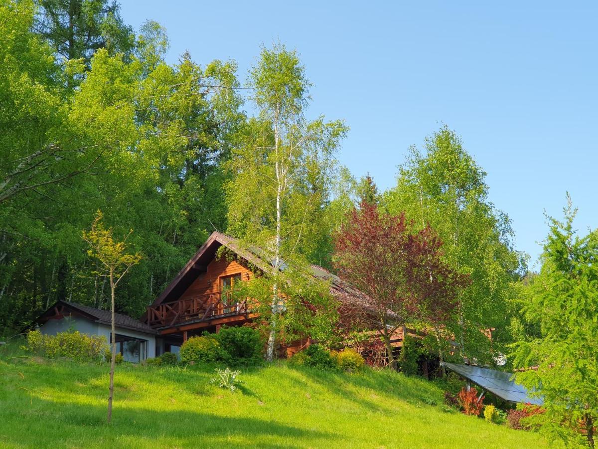 Appartamento Ksiezycowa Dolina Lądek-Zdrój Esterno foto