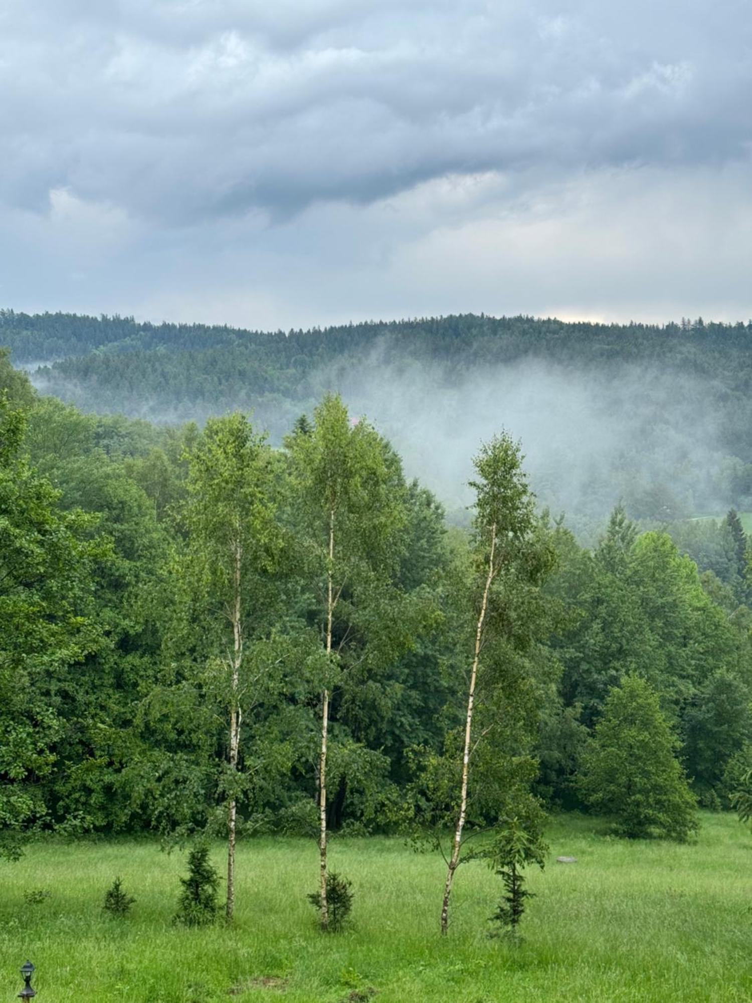 Appartamento Ksiezycowa Dolina Lądek-Zdrój Esterno foto